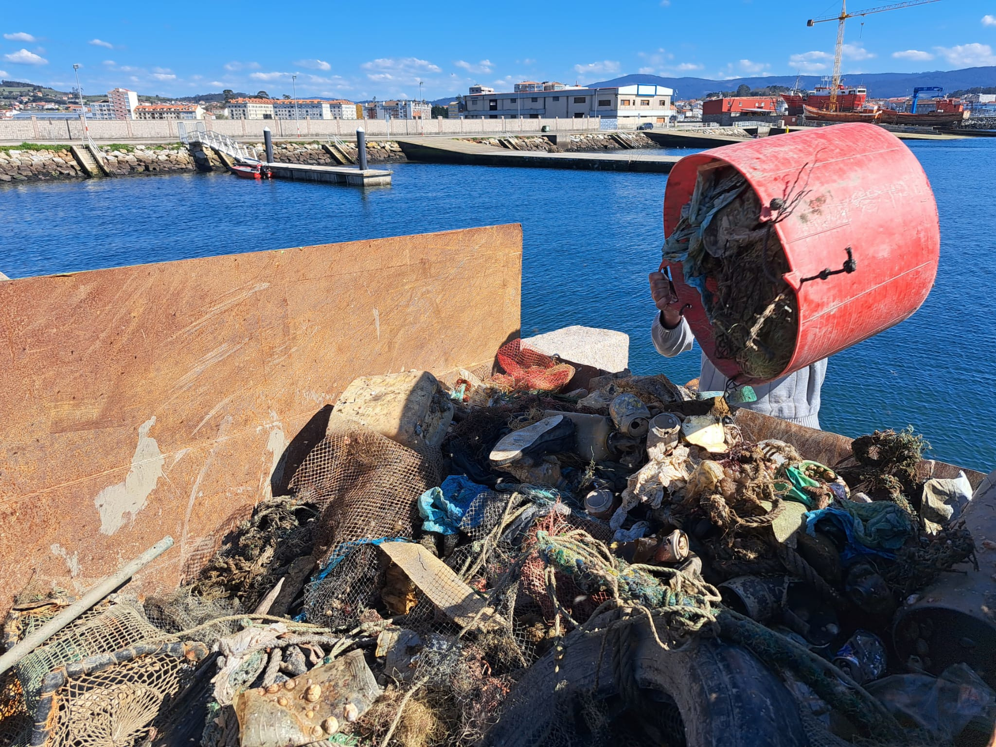 Afundación y la Cofradía de Pescadores de Cambados retiran 14 toneladas