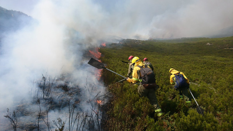 Más Incendios Forestales Pero 600 Hectáreas Quemadas Menos Que El Año