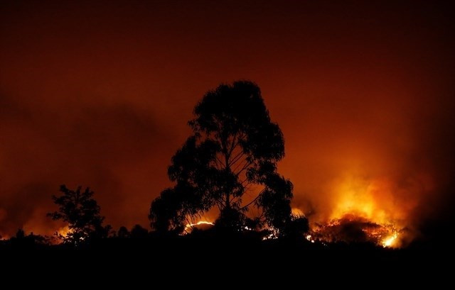 Expertos advierten que un incendio como el de Portugal es posible en Galicia