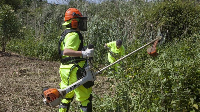 Más sanciones para los propietarios que no desbrocen sus fincas