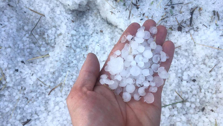 El granizo echa a perder 10.000 toneladas de los cultivos de A Limia