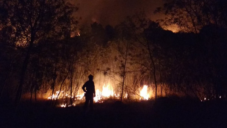 Apagar incendios y recuperar los daños cuesta cada año cientos de millones a Galicia