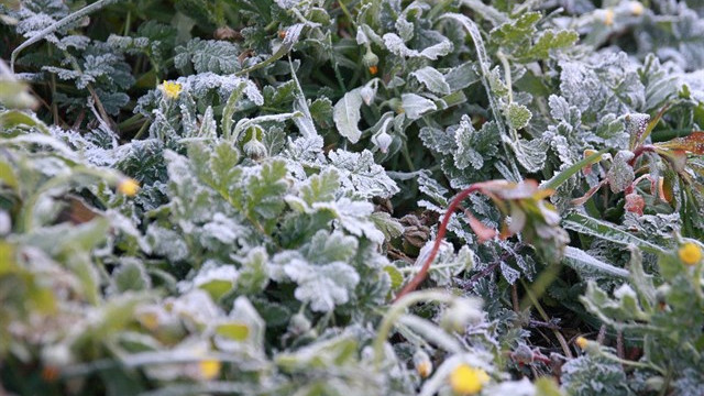 Temperaturas bajo cero en pleno mes de agosto en Xinzo de Limia