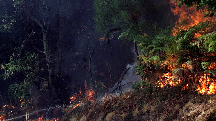 Un incendio forestal en Maside avanza con rapidez