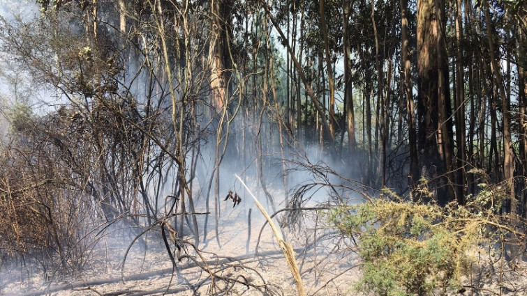 Extinguido el incendio de Vilariño de Conso después de tres días