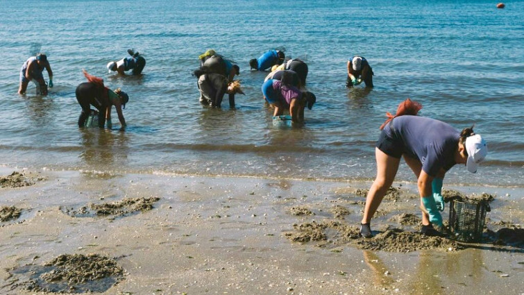 La Justicia confirma como accidente laboral el sufrido por una mariscadora en un coche