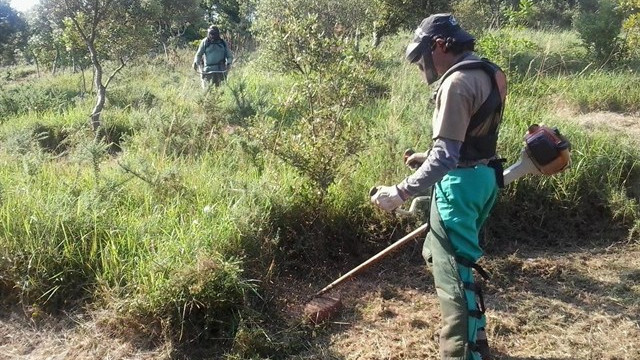 Más de dos meses de retraso en una ayuda de la Xunta para parados de Ponteareas