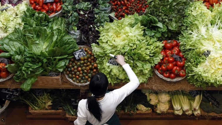 Contra el colesterol, mejor una dieta vegetariana que solo reducir calorías