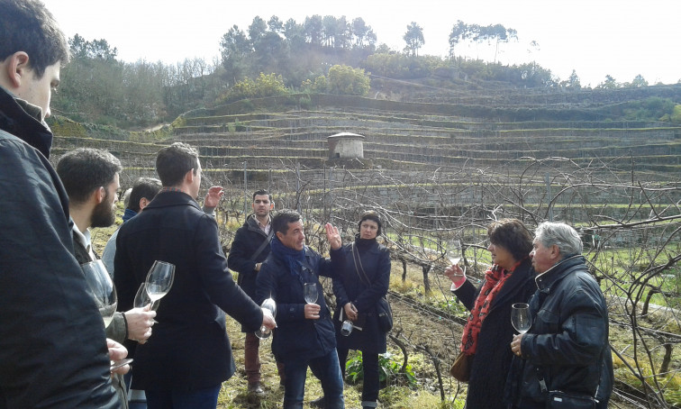 Reconocidos prescriptores do mundo do viño vistan a Denominacion de Orixe Ribeiro en Ourense