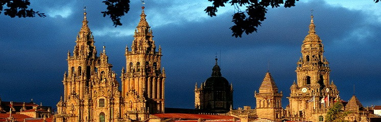 El Consejo de Europa abre a la firma un Convenio para la lucha del trafico de órganos en una Confencia Internacional, los dias 25 y 26 en Santiago