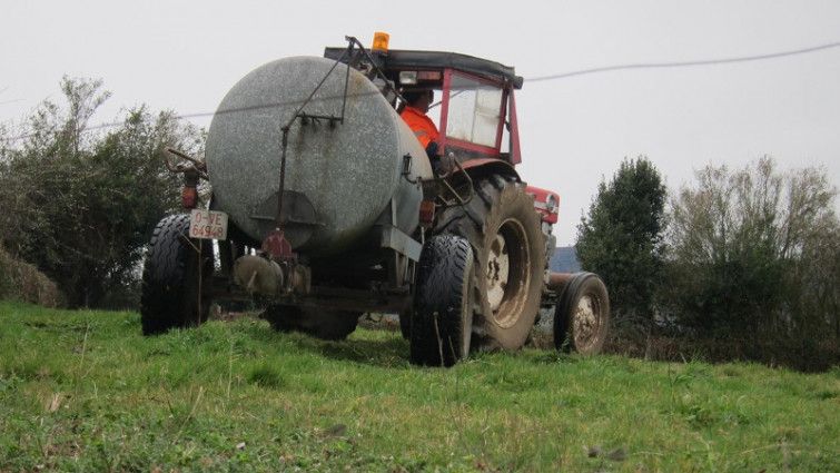 Galicia cuenta este año con más de 42.000 pólizas de seguros agrarios