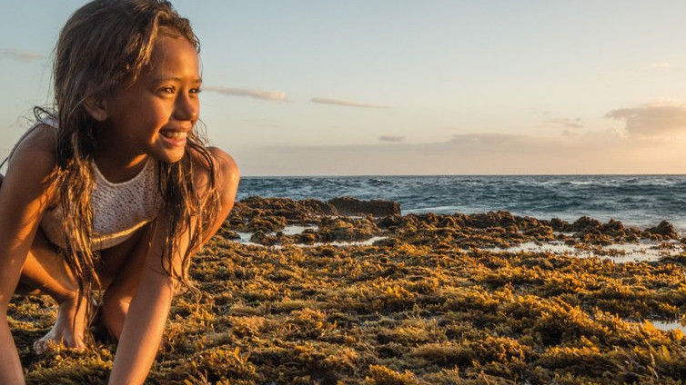 El cuarto Festival Mar de Mares se dedica a las mujeres y su defensa de los océanos