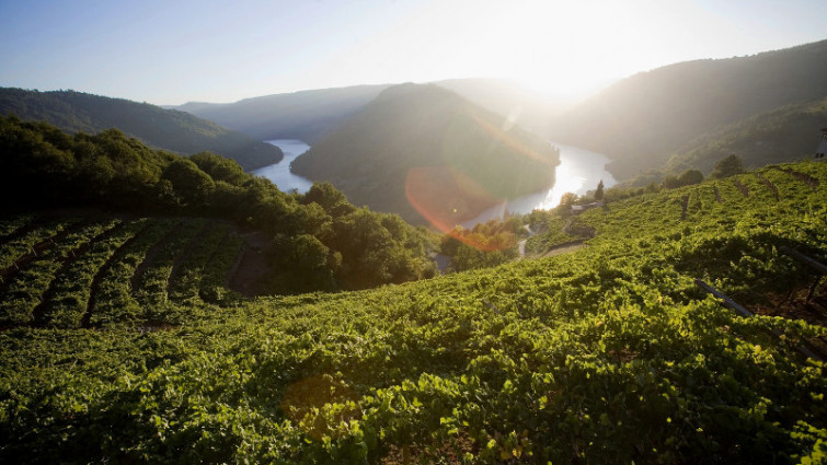 La Ribeira Sacra prepara su camino para convertirse en Patrimonio de la Humanidad