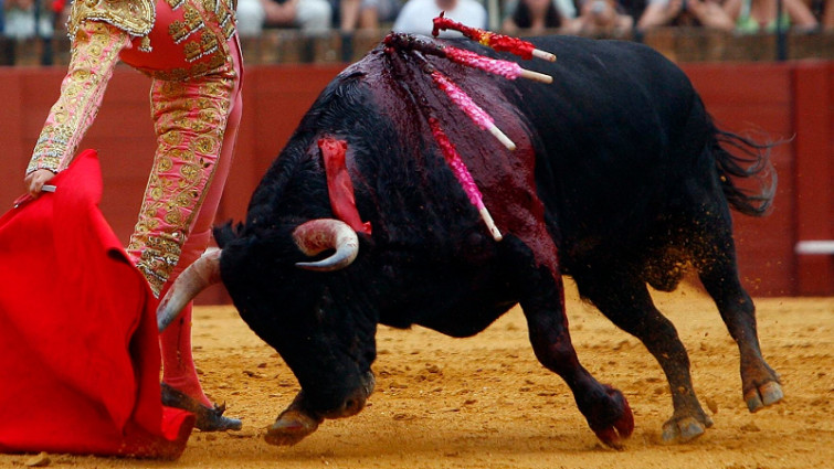 ¿Toros en Sanxenxo el 24 de julio? El Ayuntamiento de Sanxenxo lo niega