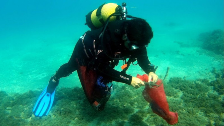 Más de 1.000 voluntarios se organizan para limpiar la basura del fondo del mar