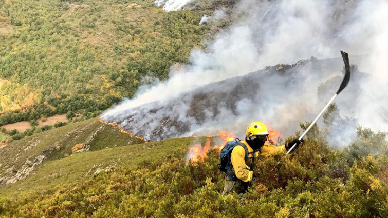 Agentes Forestales denuncian turnos de 12 horas con más de 2000 horas anuales