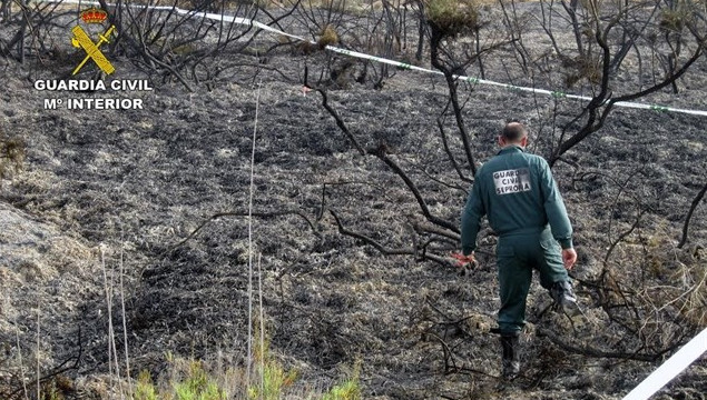 Primer detenido como presunto incendiario tras la oleada de fuegos del domingo