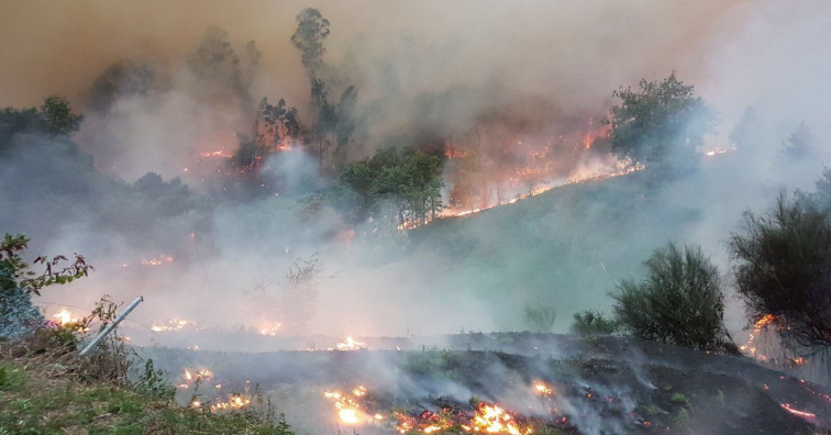 Otra vez volvieron a iniciarse incendios forestales justo antes de un temporal de viento