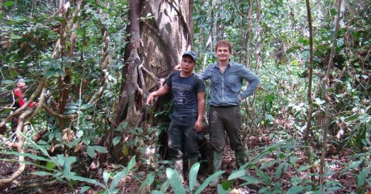 La USC desarrolla un método para medir el impacto de la degradación forestal