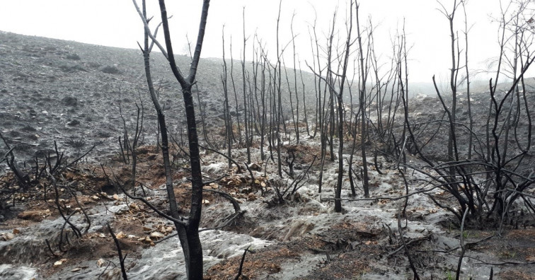 Las zonas más castigadas por el fuego sufrirán erosión incluso dentro de seis meses