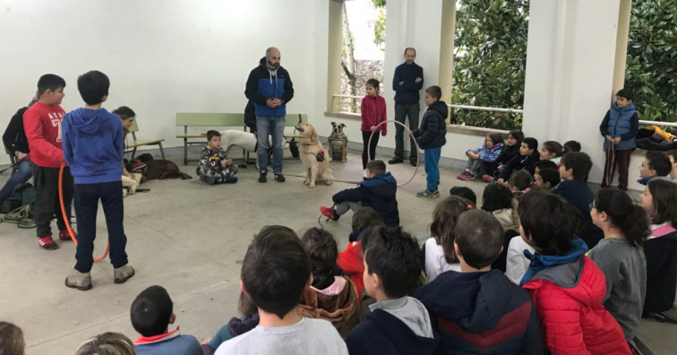 La responsabilidad con las mascotas se aprende desde la infancia