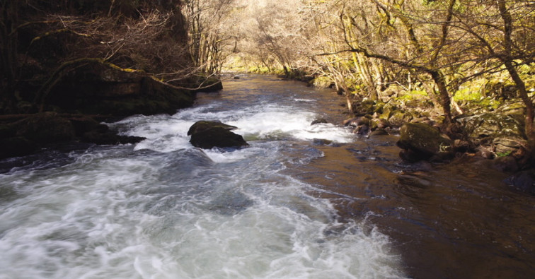 ​La alerta por sequía en Galicia continúa solo en el río Limia, el Sil bajo y el Cabe