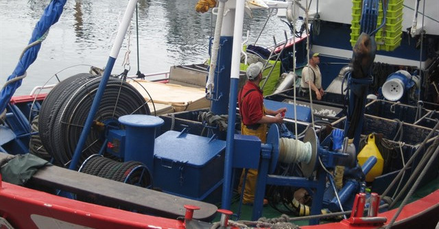 Dos barcos de Lugo estrenan un equipo gallego para eliminar parásitos a bordo