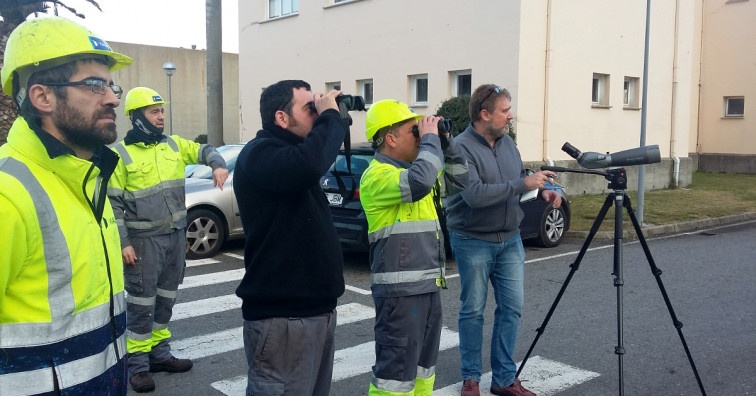 ​Nuevas instalaciones de Viaqua se suman a un programa de avistamiento de aves