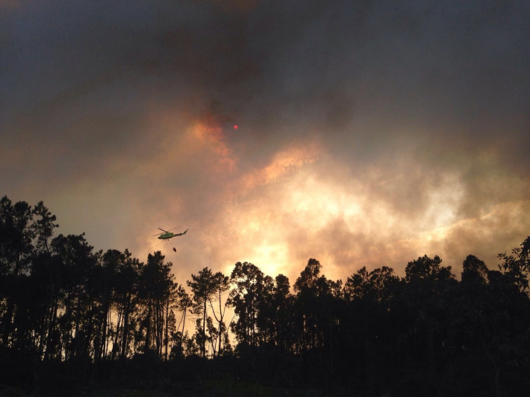 Diez razones por las que arde el monte gallego