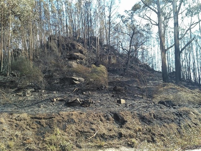 La Consellería de Medio Rural miente sobre las hectáreas afectadas en los incendios, según Arco Iris