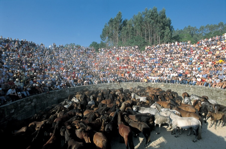 La Rapa das Bestas de Sabucedo quiere ser un Bien de Interés Cultural Inmaterial