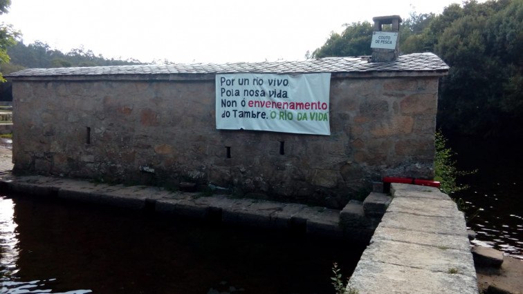 El vecindario de la playa de Tapia sigue sin información sobre los peces muertos y la supuesta contaminación del Tambre