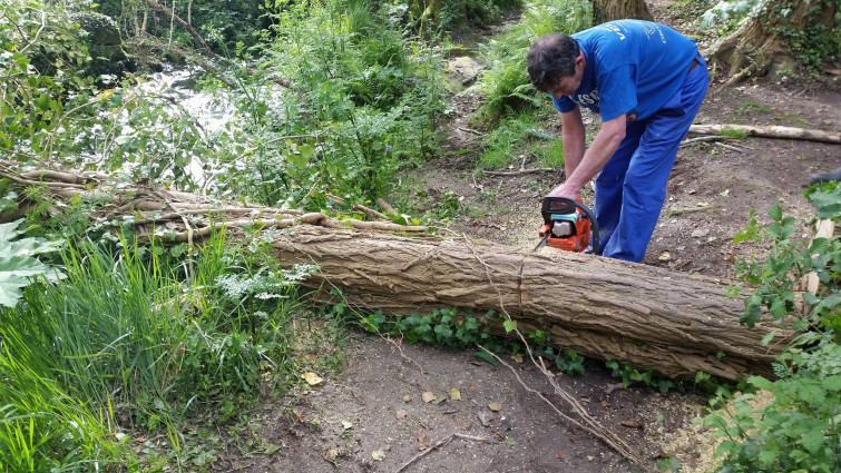 Empieza la 18º campaña de limpieza del río Gafos que ya ha recogido 700 toneladas de basura