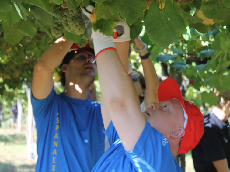 Un vino ayudará a construír una residencia para personas con discapacidad intelectual