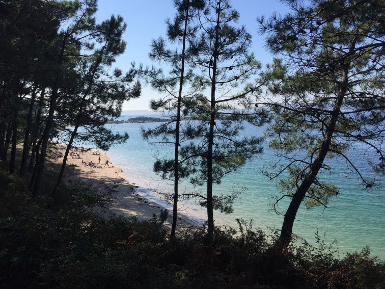 Hallan un cuerpo sin vida en un muelle de la Illa de Arousa