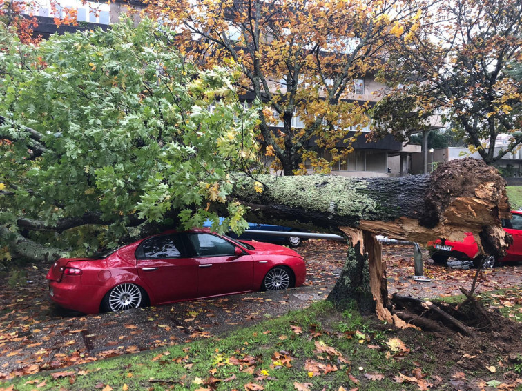 Suspendidas actividades extraescolares y deportivas a causa del temporal