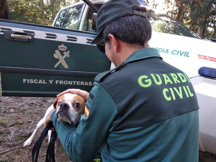 Seis ladrones intentan atracar a un ganadero, que les hace frente armado con un rastrillo y gana