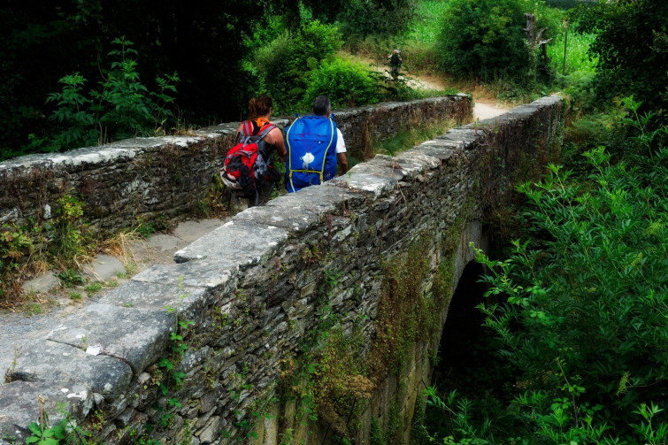 ¿Es conveniente crear más rutas del Camino de Santiago?