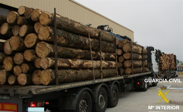 Transporte de madera