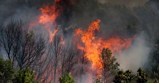 Incendios hasta el último día del año: 35 hectáreas arden en Ourense