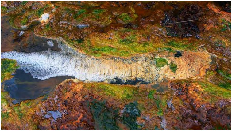 El SEPRONA investiga los desbordamientos de los ríos contaminados de Touro