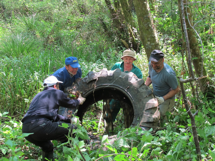 Naturgy impulsa la recuperación del bosque autóctono