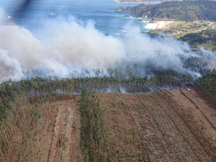 Extinguido un incendio  tras quemar más de 25 hectáreas, muchas de eucalipto