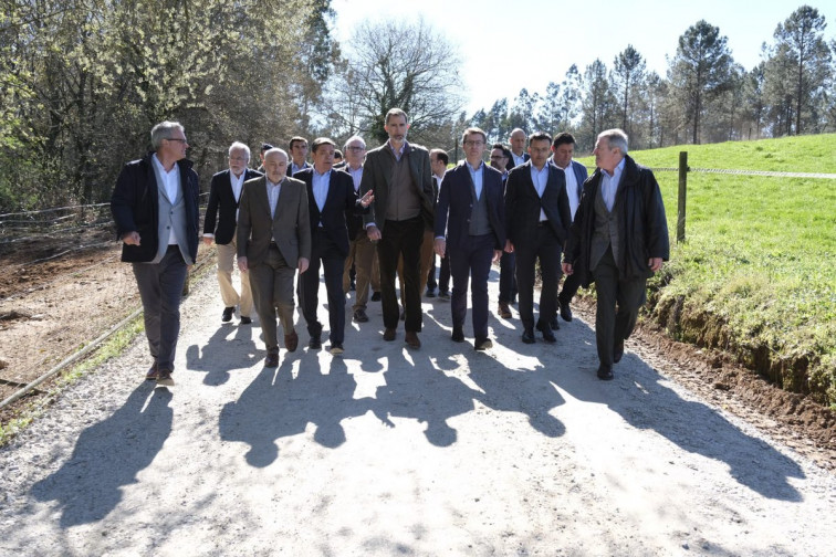 El Rey Felipe VI y Feijóo, presentes en los trabajos forestales y de silvicultura en Galicia