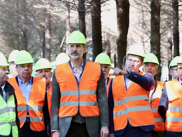 Felipe VI vino a ver un bosque gallego y le enseñaron ‘Pinos de Oregón’ (VÍDEO)