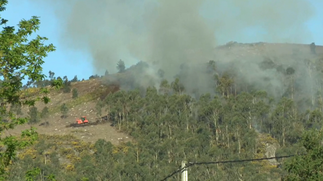 El PP veta limitar los eucaliptos para evitar incendios como el de Dodro y Rianxo