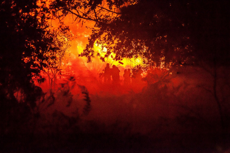 Una película sobre los incendios en Galicia competirá en el Festival de Cannes