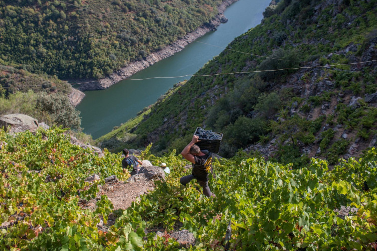 Encuentro enólogo internacional en Regina Viarum que impulsa la candidatura de la Ribeira Sacra a Patrimonio de la Humanidad