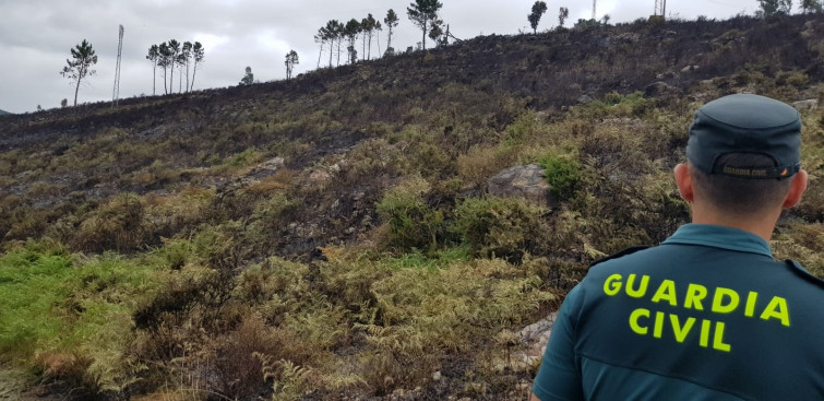 Un incendio arrasa cerca de 20 hectáreas y queda extinguido en nueve horas