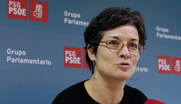 os socialistas reclámanlle á valedora do pobo “a defensa a ultranza do estado social e democrático de dereito” con independencia da cor do goberno